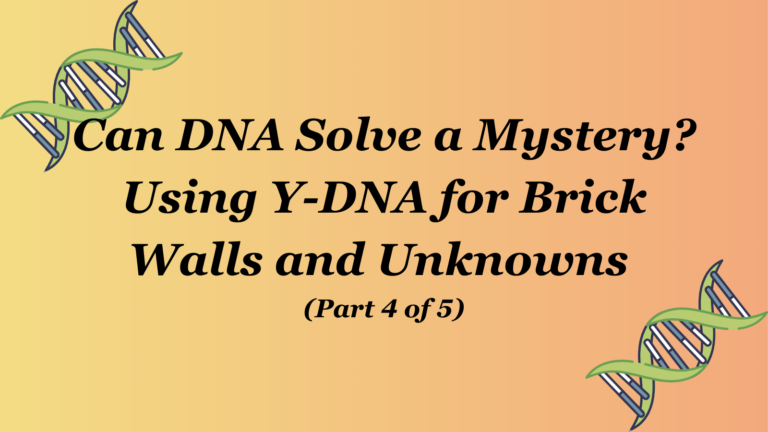 Can DNA Solve a Mystery wide