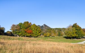 MacRae Meadows, Grandfather Mountain